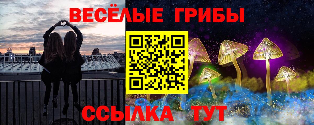 Галлюциногенные грибы прущие грибы  Вход с VPN  Галлюциногенные грибы Psilocybine cubensis  купить   Майский 