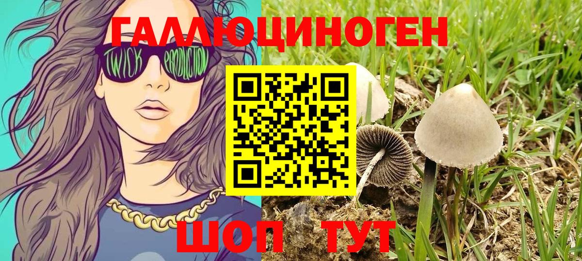 Галлюциногенные грибы MAGIC MUSHROOMS Майский